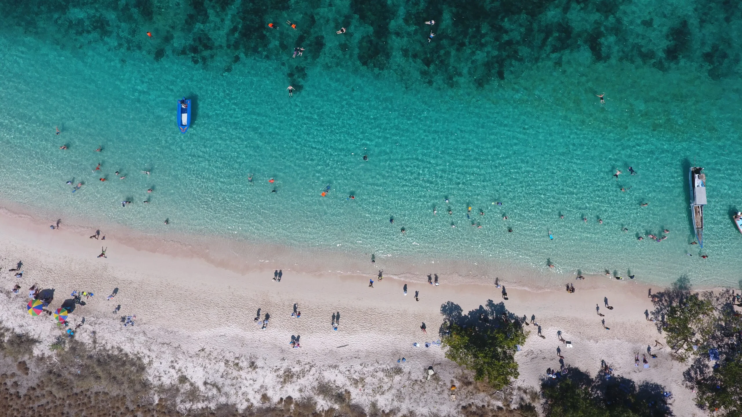 pink beach komodo