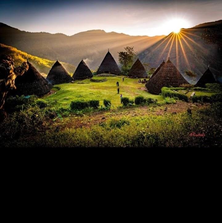 wae rebo flores culture village